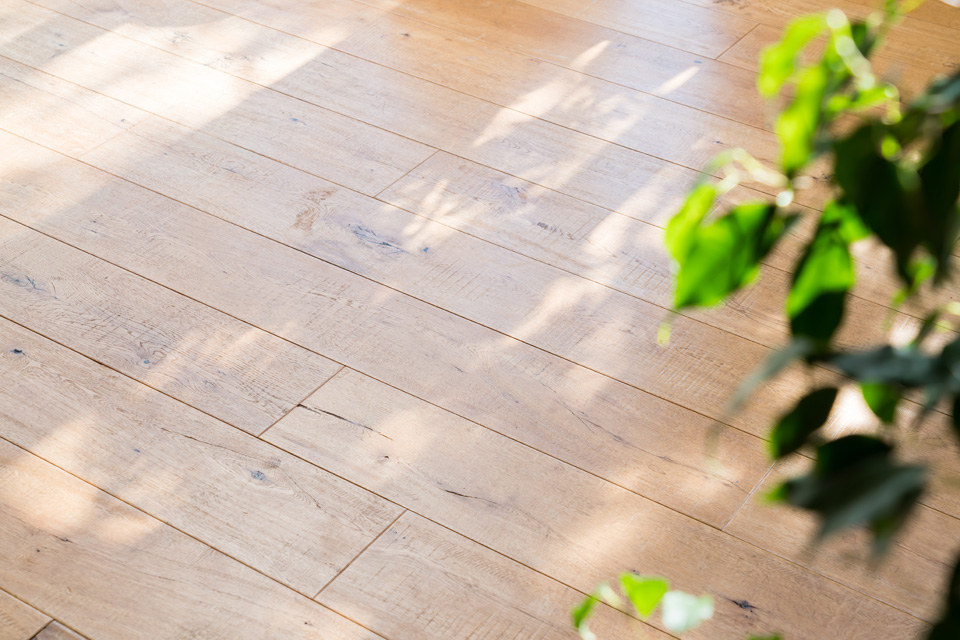 Parquet classique dans une pièce avec des plantes
