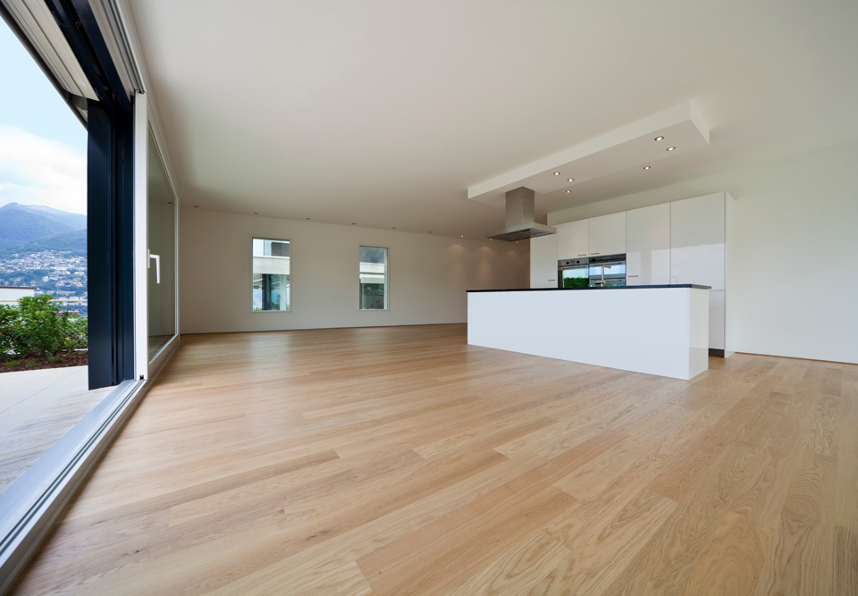 Living room moderne avec un parquet flotant