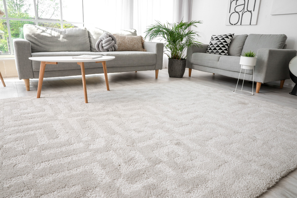 Salon avec deux canapés gris avec un tapis et un parquet flottant